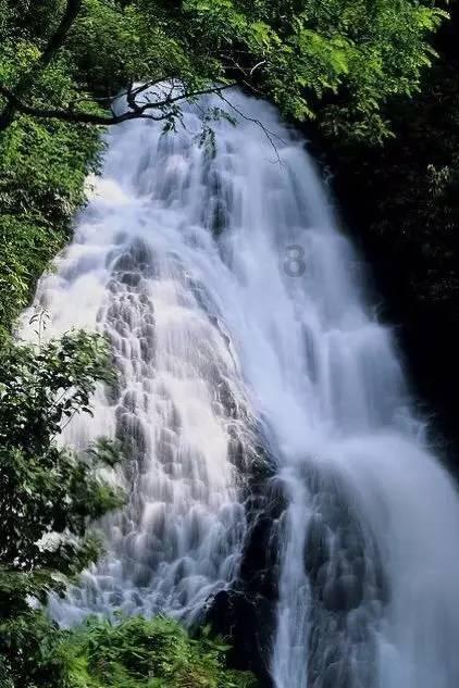 天佑满门忠烈，大同百岁离休老人喜过阳康，胜利跨入2023年